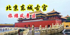 小浪逼,BB,受不了了,快点,插进来中国北京-东城古宫旅游风景区